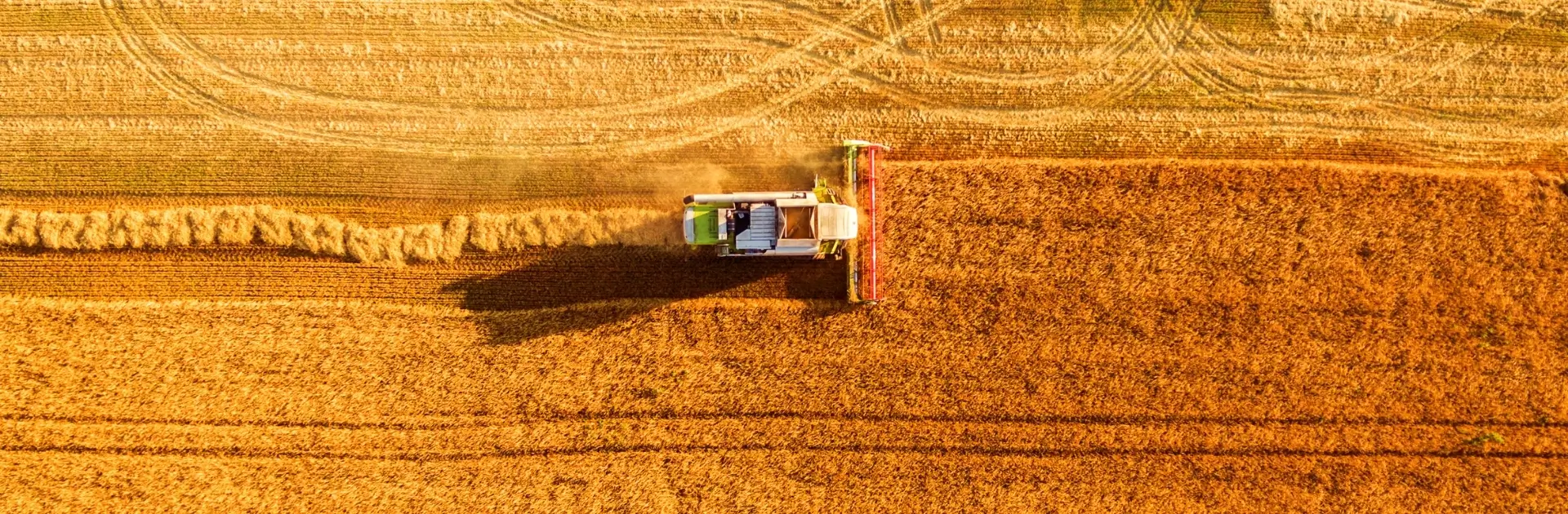 Bennetts Headland 01 (3) Bennetts Headland
